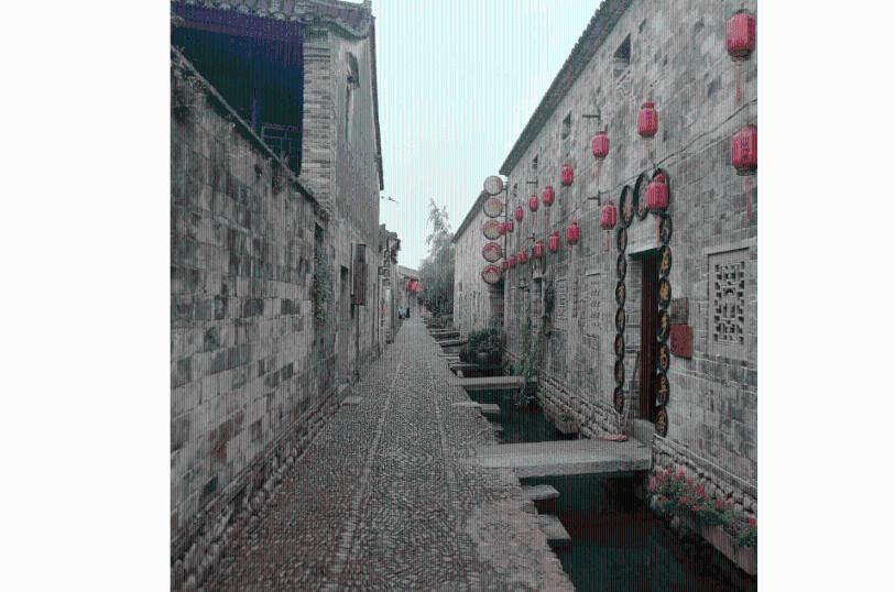 侍忍者